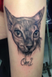 Black and grey sphinx cat portrait tattoo